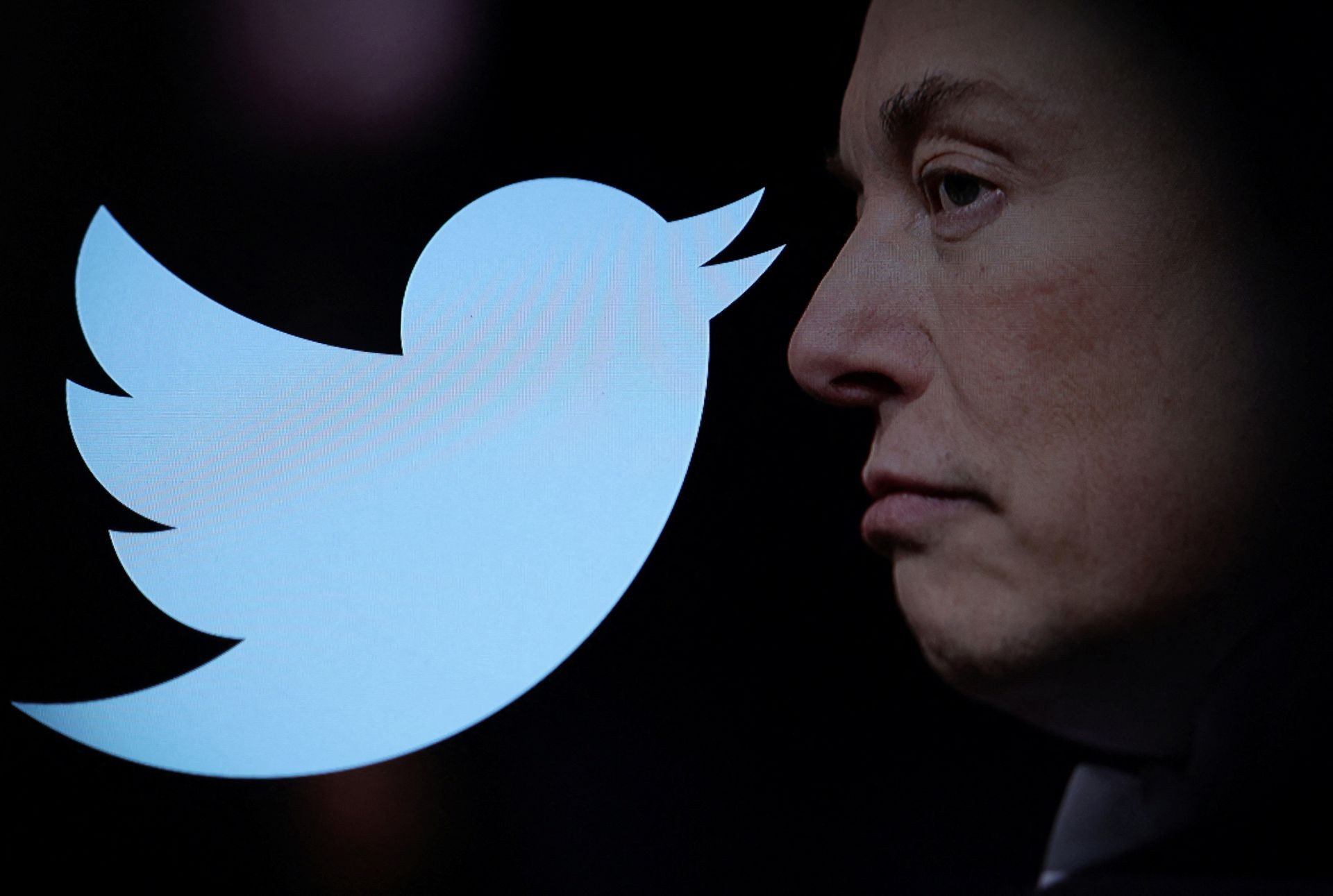 Elon Musk Says Twitter To Provide Amnesty To Some Suspended Accounts Starting Next Week 25775