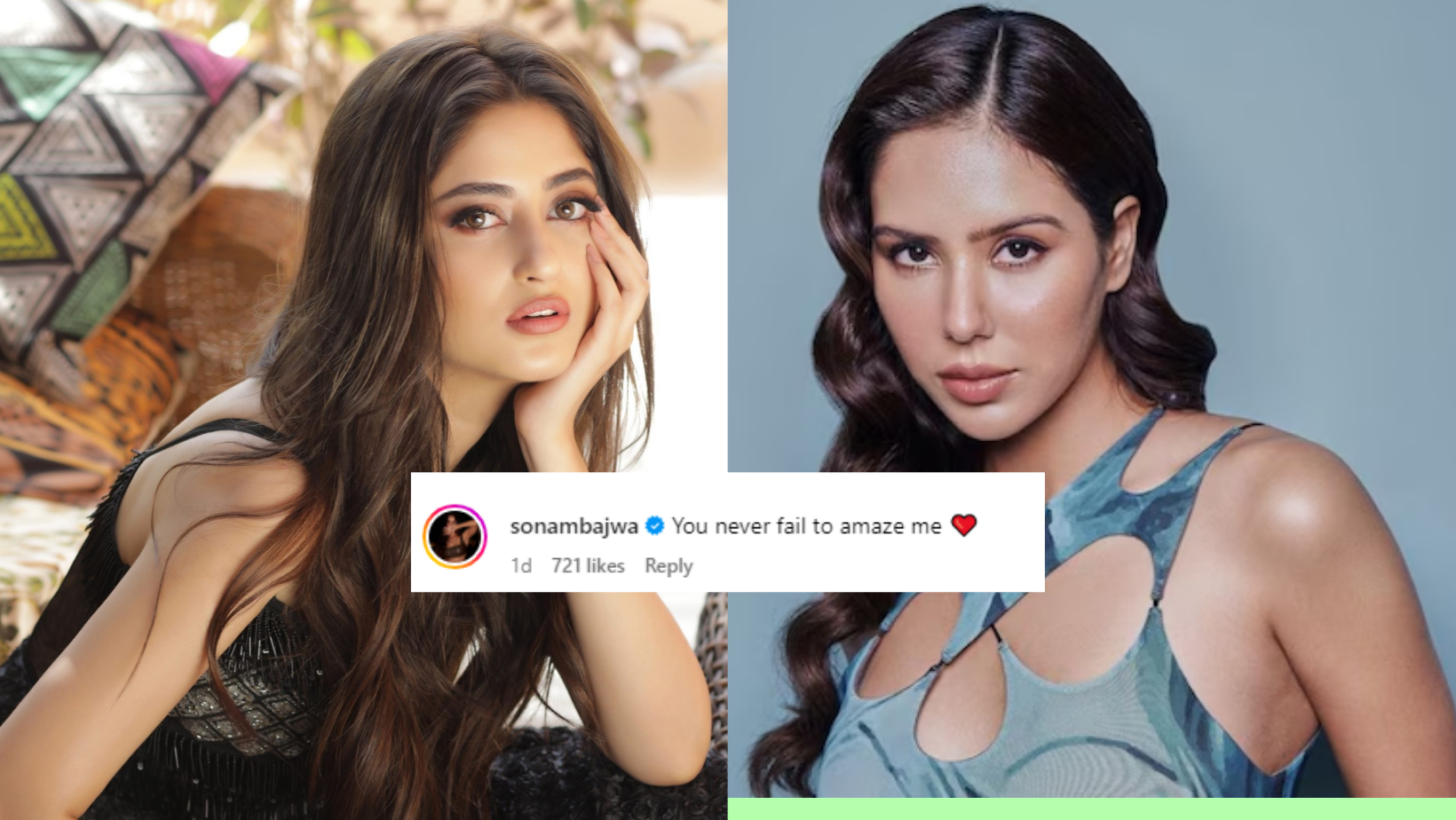 You Never Fail To Amaze Me Sajal Ali Receives High Praise From Sonam Bajwa 50110