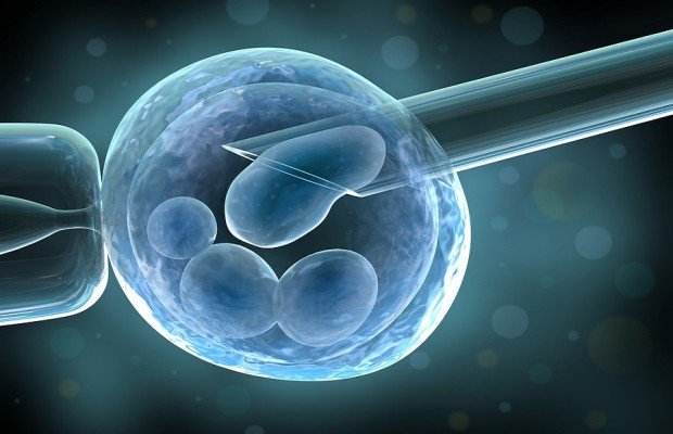 From Labmade Embryos To Organs The Ethics Of Stem Cell Science 629