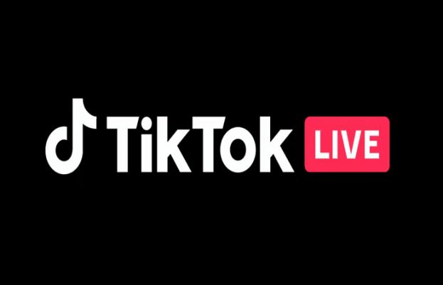 Call To Outlaw TikTok Gains Ground In Punjab Assembly 73470