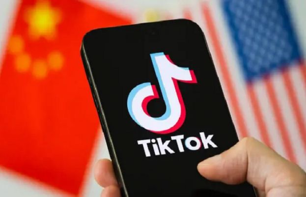 TikTok Under Fire In Canada For Inadequate Protection Of Children Data 73644