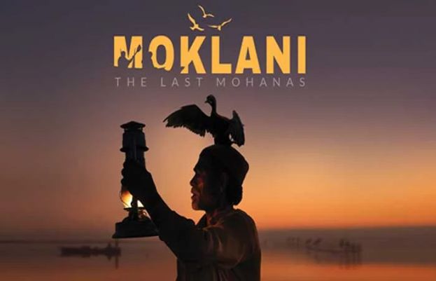 Moklani  The Last Mohanas Wins Big At Jackson Wild Media Awards 73864