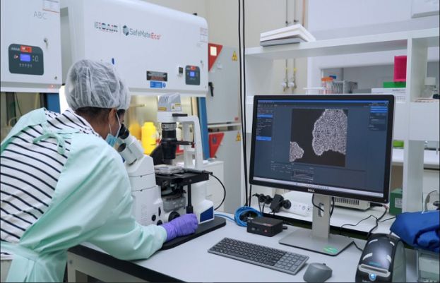 Scientists Develop Computers Powered By Human Minibrains 74040