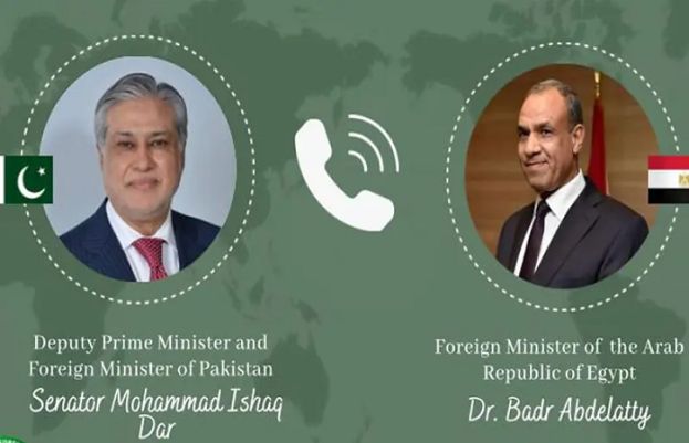 Ishaq Dar Egyptian FM Hold Talks On Gaza Peace Efforts 74393
