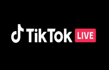 Call To Outlaw TikTok Gains Ground In Punjab Assembly 73470