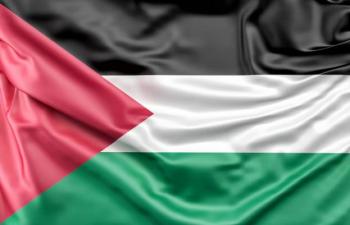 UAE Signals It May Not Join International Gaza Stabilization Efforts 74313