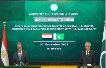 Pakistan To Share List Of 250 Business Houses With Egypt To Enhance Bilateral Economic Ties FM 74570