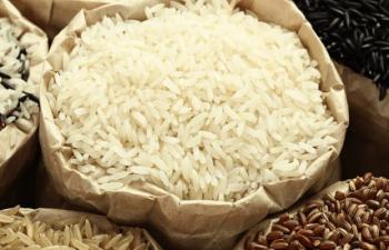 Price Of Rice Records Increase In Punjab 75165