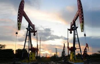 Mari Energies Uncovers New Oil And Gas Reserves In Ghotki 75971