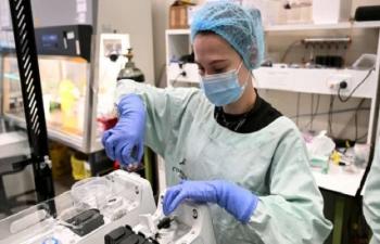 Australian Researchers Teach Brain Cells To Play Doom 76538